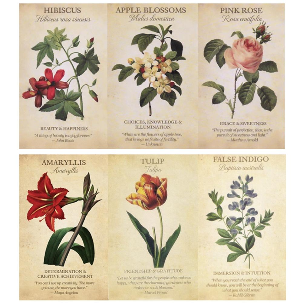 Botanical Inspiration Oracle c - Board Game Inspiration recensione e prezzo