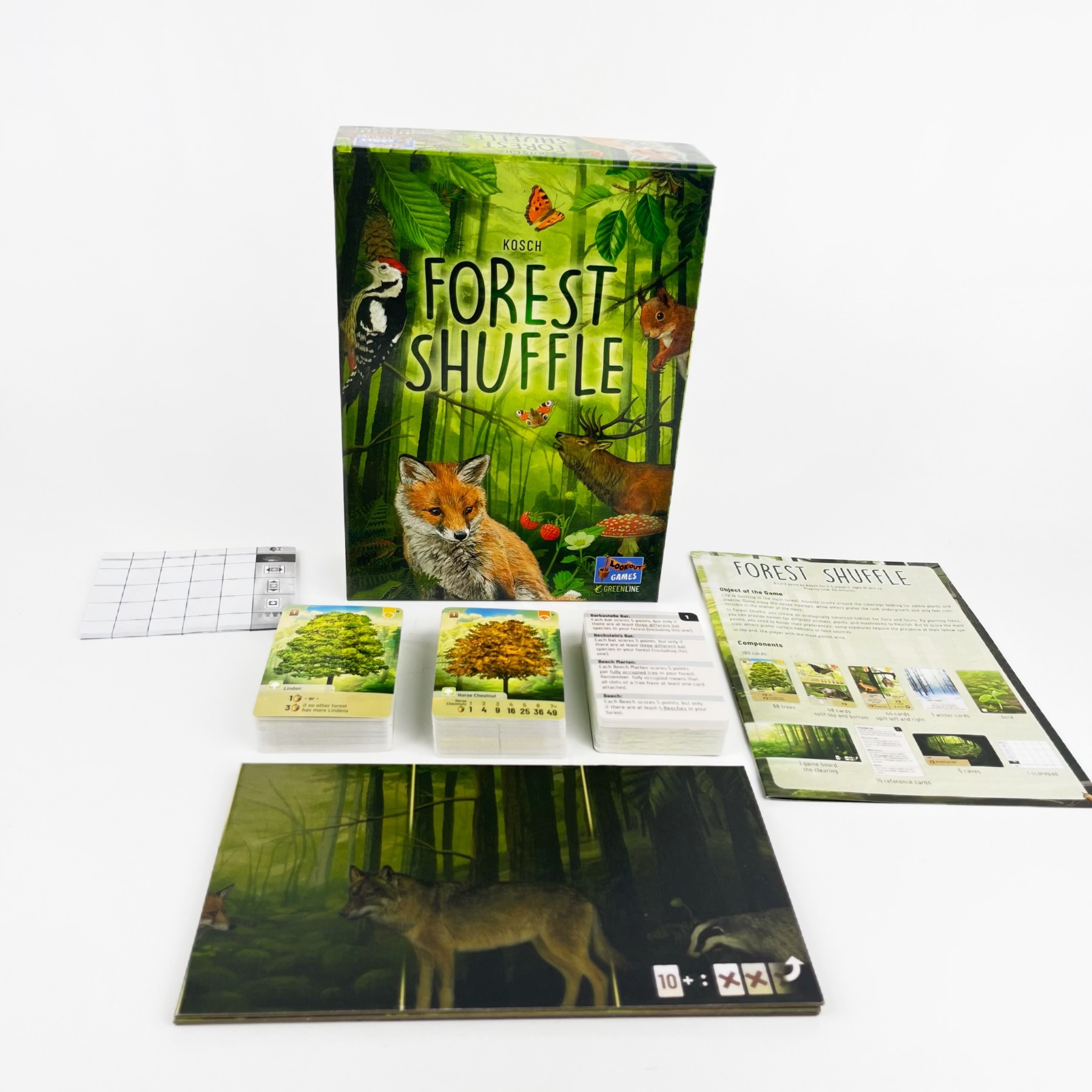 Forest Shuffle Card Game - Cle - Board Game Sequence recensione e prezzo