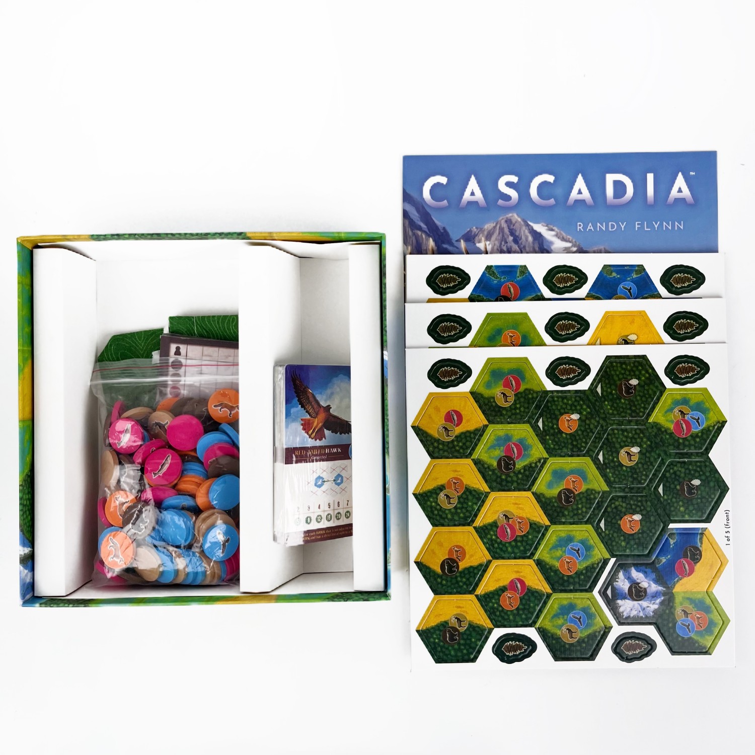 Cascadia Boardgame |  Base Gam - Board Game Sequence recensione e prezzo