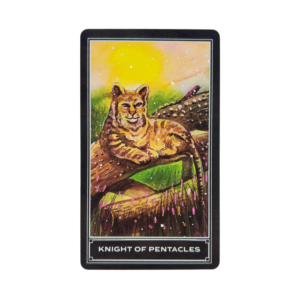 The Enchanting Earth Tarot Car - Board Game Inspiration recensione e prezzo